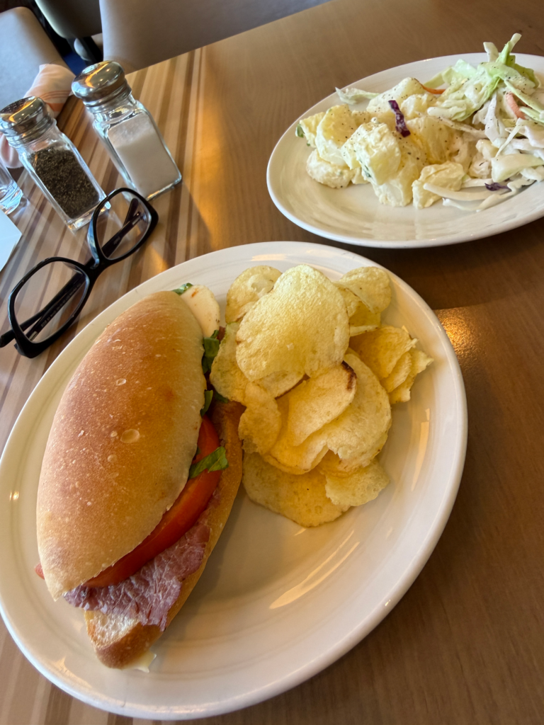 Fresh pastrami sandwich with potato chips, potato salad and coleslaw served aboard Holland America Volendam